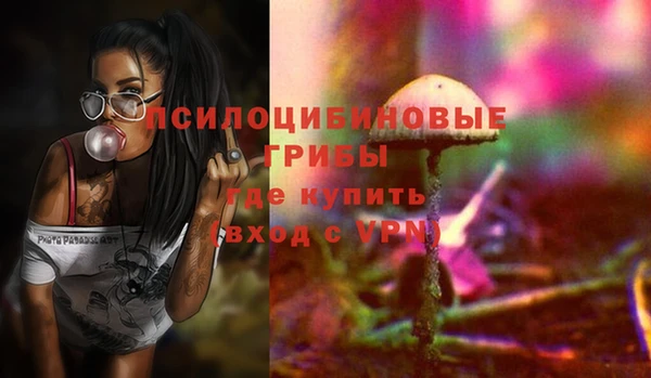 дурь Арсеньев