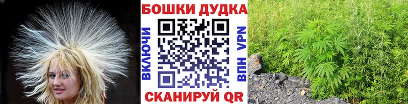 Марихуана сатива Аша